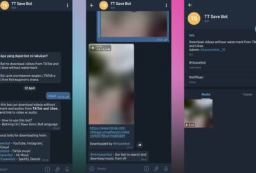 TT Save Bot Telegram