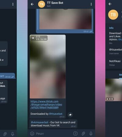 TT Save Bot Telegram