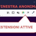 Usare Estensioni Browser in Modalità Anonima