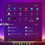 Windows 11 Pro Lite