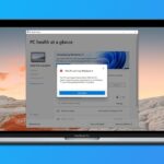 Windows 11 on MAC