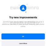WhatsApp Multi-Device