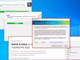 Windows 11 Fake Installer