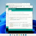 Windows 11 su Raspberry