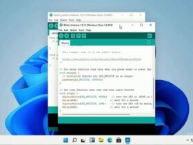 Windows 11 su Raspberry