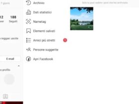 Archiviare Foto Instagram