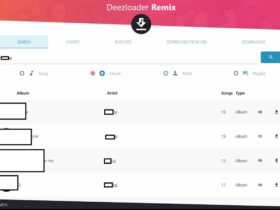 Deezloader Remix