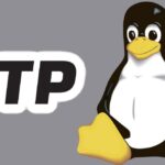 FTP Linux