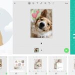 Foto Editing Web WhatsApp