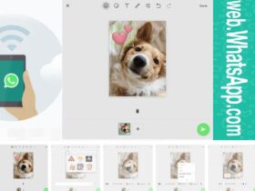 Foto Editing Web WhatsApp