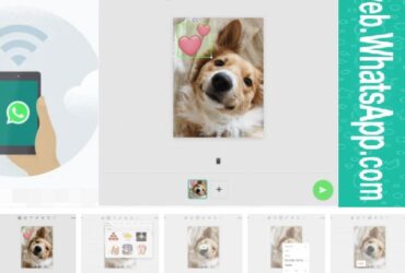 Foto Editing Web WhatsApp