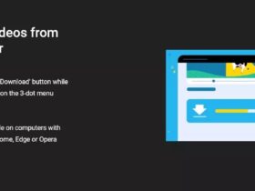 YouTube Premium Downloads Video
