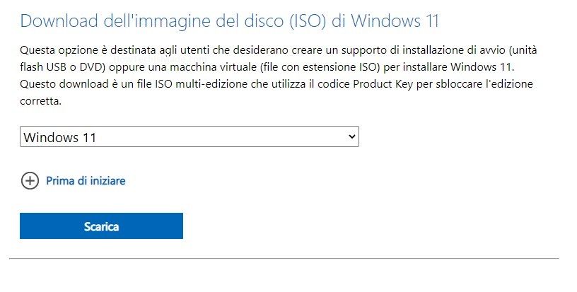Download ISO Windows 11 - Opzione