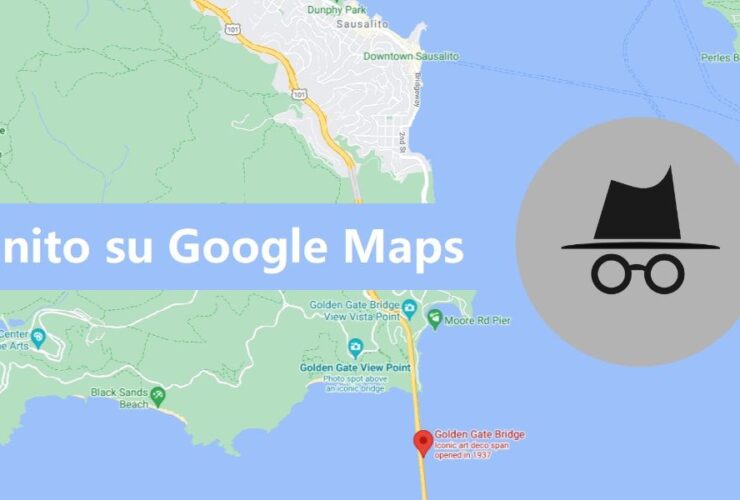 Incognito Google Maps