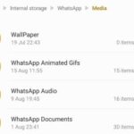 Cartella Media WhatsApp Android