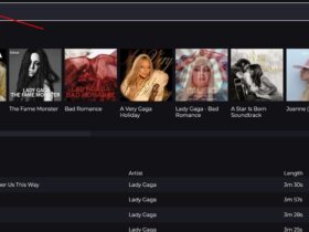 Doublenegative Cover