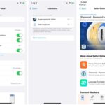 Estensioni Safari iOS iPadOS