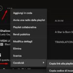 Spotify ID Code Playlist App Desktop
