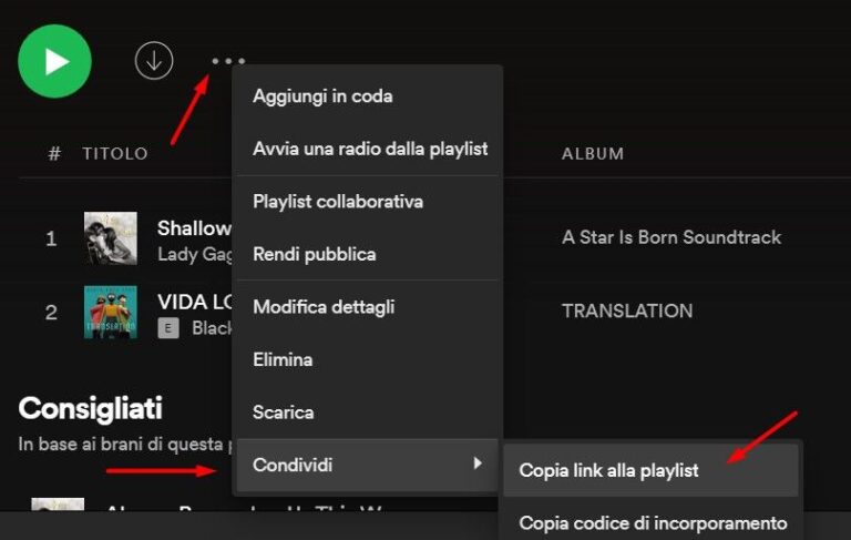 Come scaricare intere playlist da Spotify | HowTechIsMade