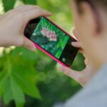 App Riconoscere Piante Fiori Alberi