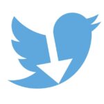Download Video Twitter