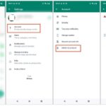 Eliminare o disattivare account WhatsApp