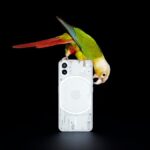 Nothing Phone 1 Rear
