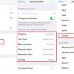 Select Notification Sounds iPhone