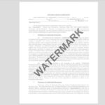 Watermark PDF