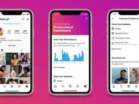 Instagram Professional Dashboard