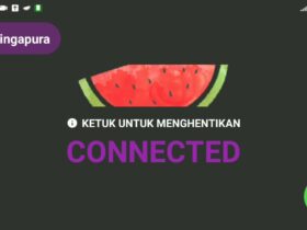 Melon VPN