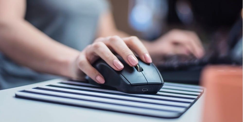 Mouse