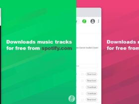 Spotify Deezer Music Downloader