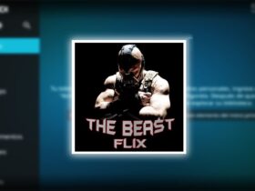 The Beast Flix Kodi