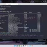 Windows Package Manager