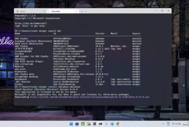 Windows Package Manager