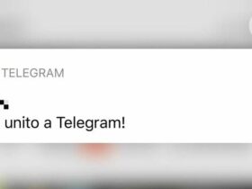Amico si è unito a Telegram