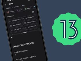 Cartelle Data e OBB Android 13
