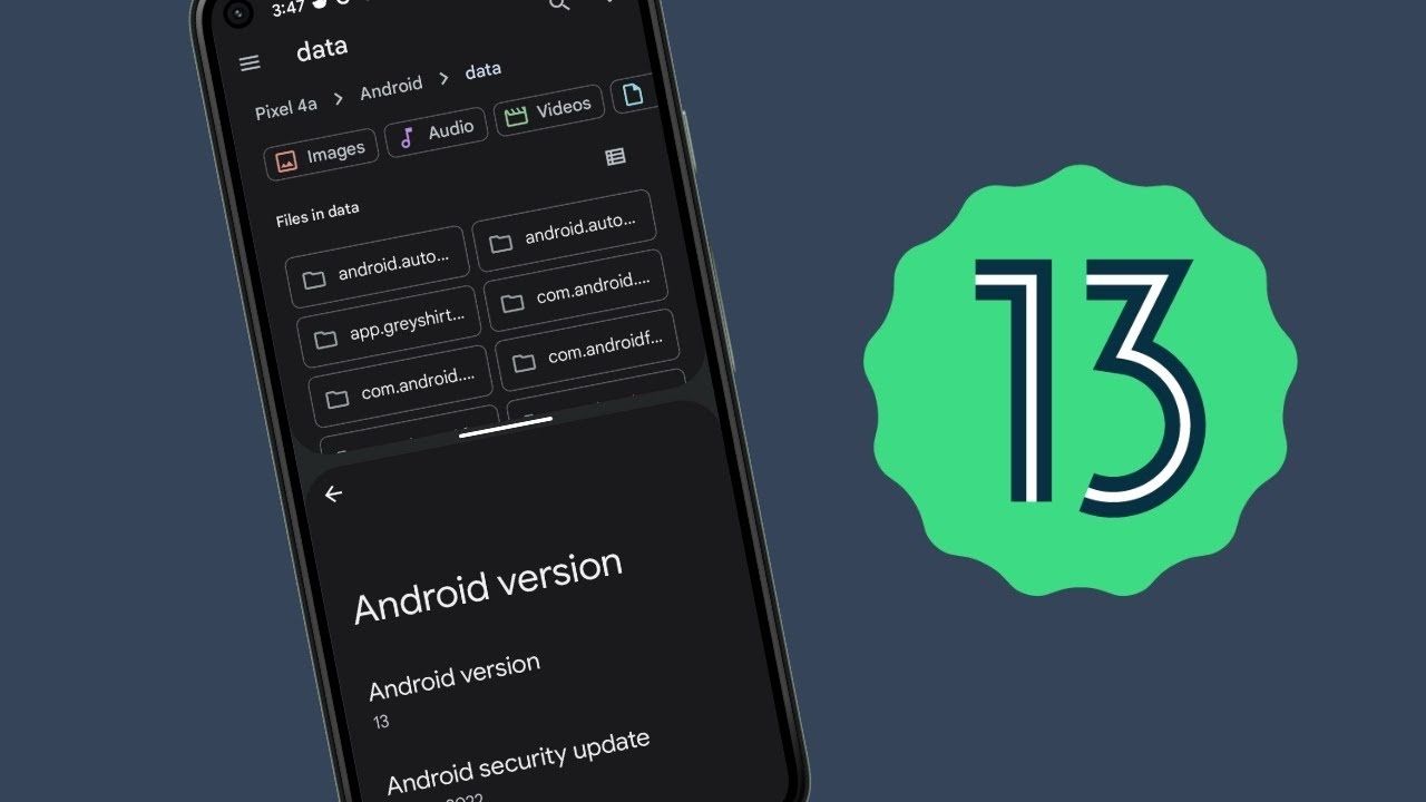 Cartelle Data e OBB Android 13