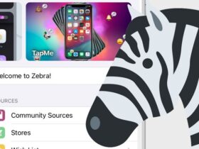 Zebra Package Manager