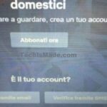 Verifica Account Netflix