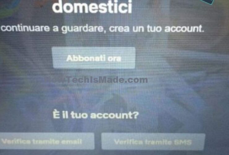 Verifica Account Netflix