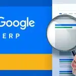Google Serp Update