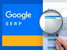 Google Serp Update