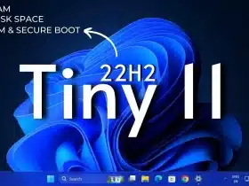 Tiny11