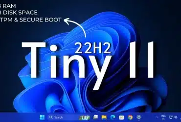 Tiny11