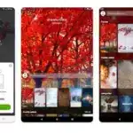 Dreamstime Wallpapers