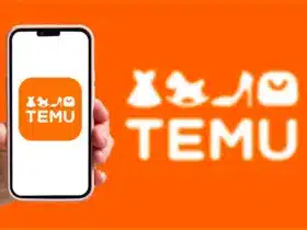 Temu Cover