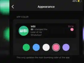 WhatsApp Icon Color Change