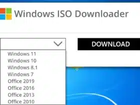 Windows ISO Downloader